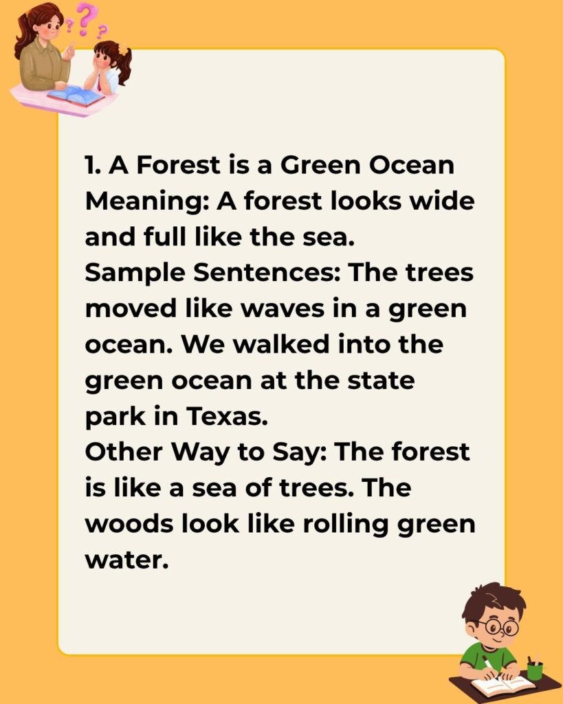 Metaphors for a Forest