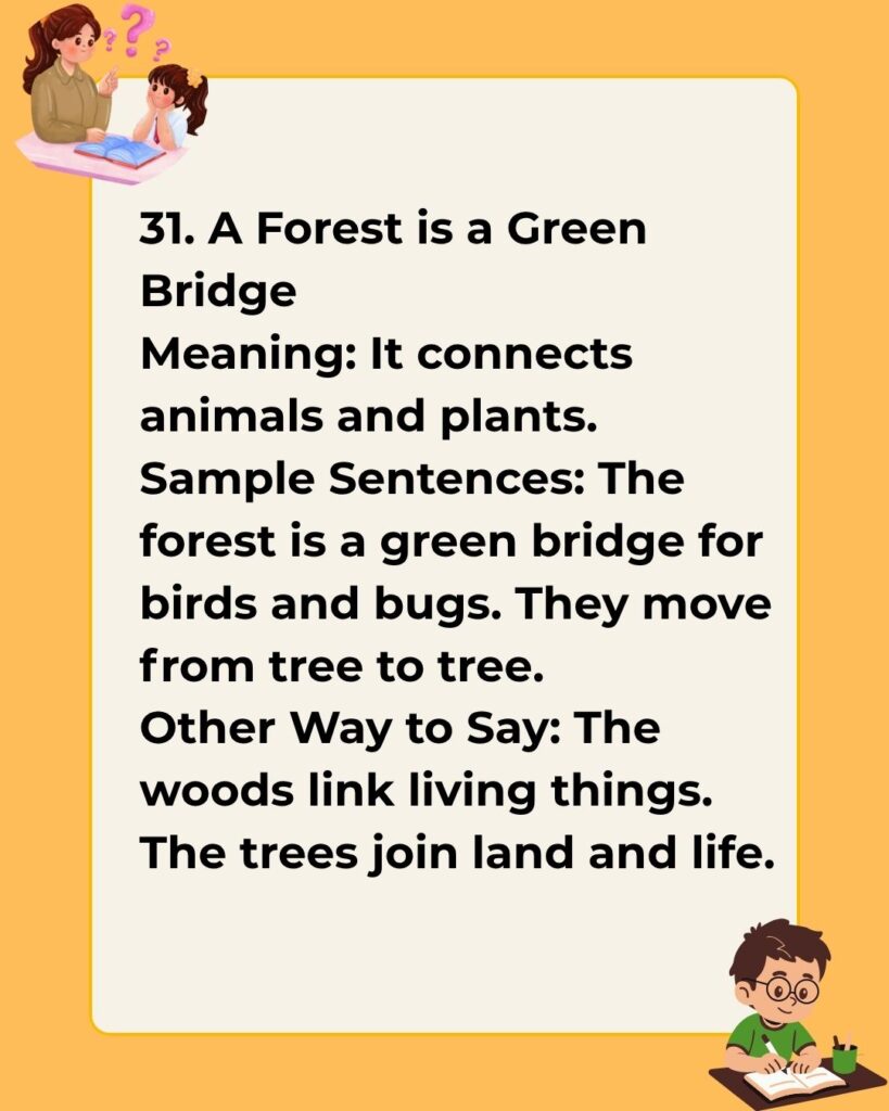 Metaphors for a Forest