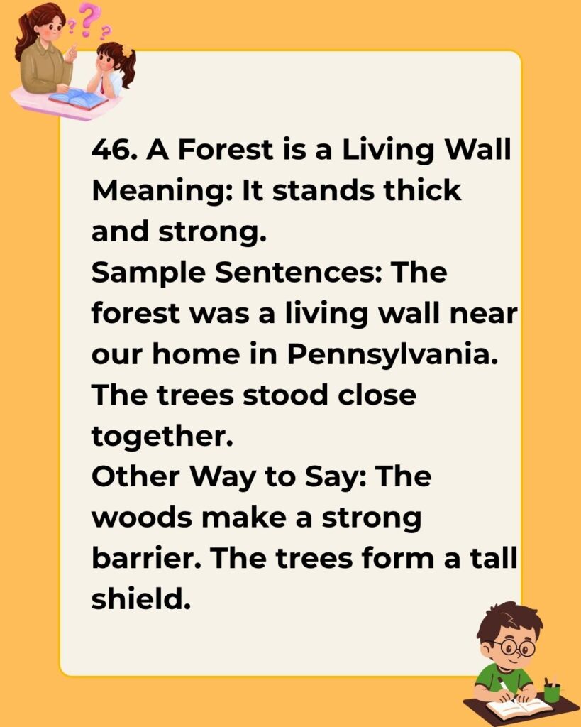 Metaphors for a Forest