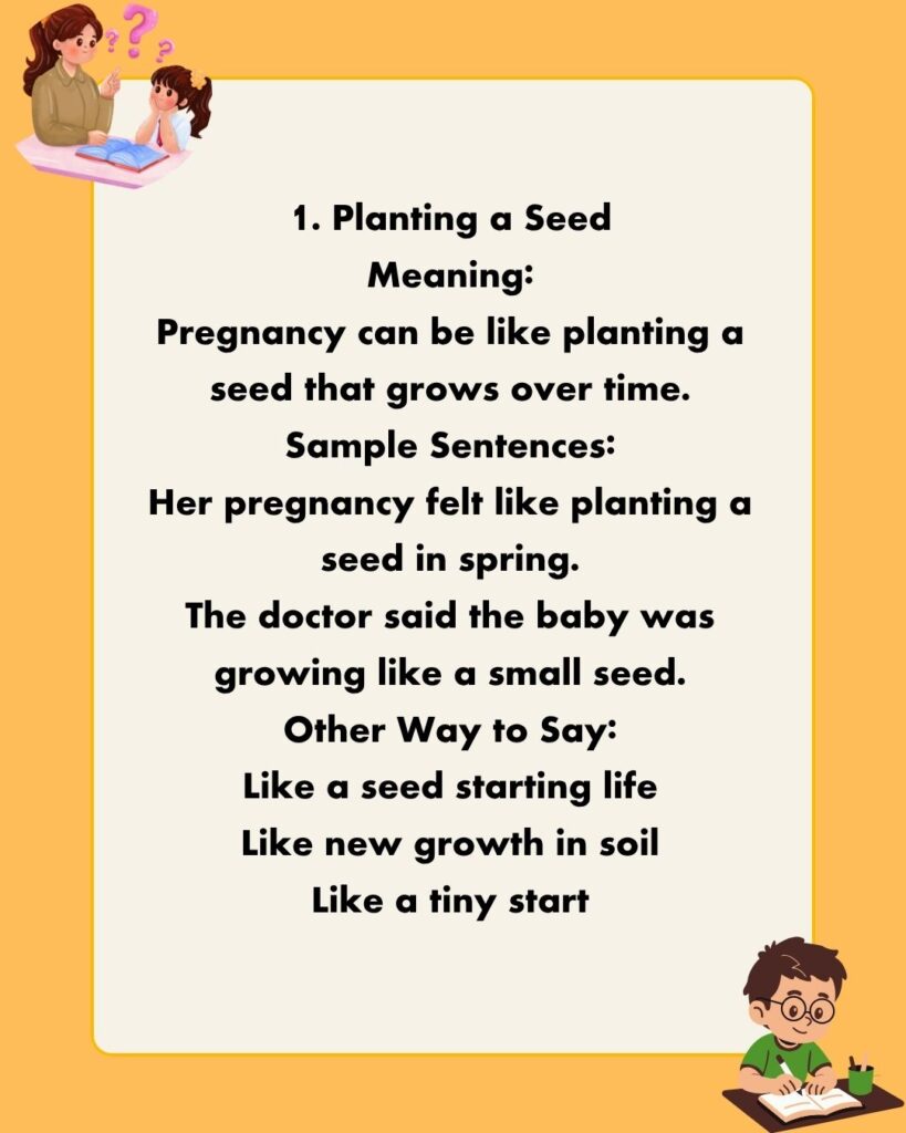 Metaphors for Pregnancy