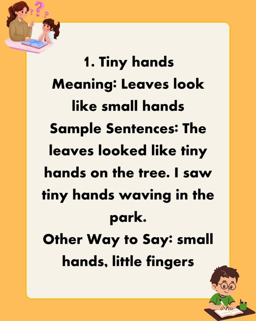 Metaphors for Leaves