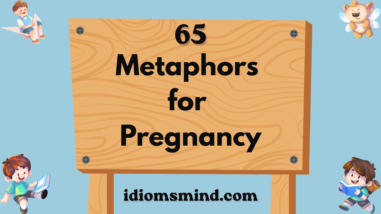 Metaphors for Pregnancy